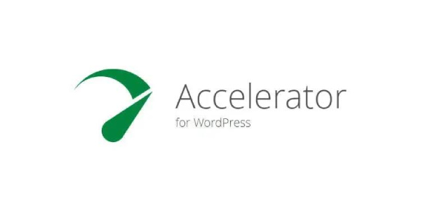 Seraphinite Accelerator — WordPress Page Speed Optimizer